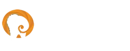 The Fibonacci Dental Studio website footer logo